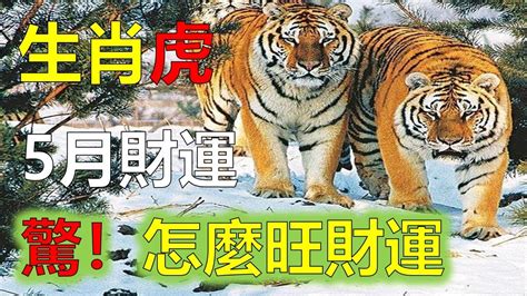 1974屬虎幸運顏色|74年屬虎人一生最旺的顏色，74年虎的幸運色是什麼